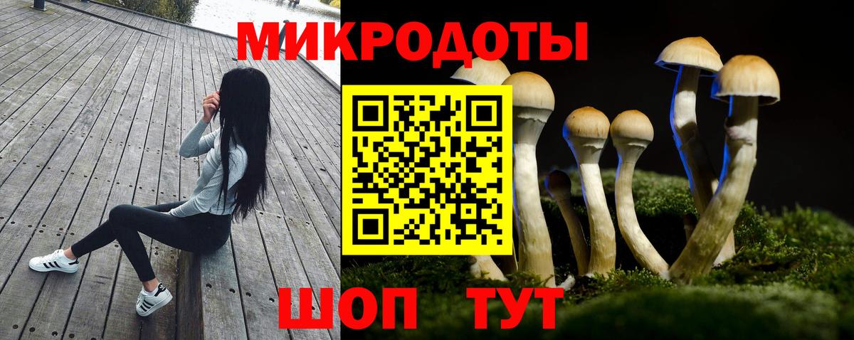 купить наркотики цена  Псилоцибиновые грибы ЛСД  Лосино-Петровский  Вход с VPN  Галлюциногенные грибы мухоморы 