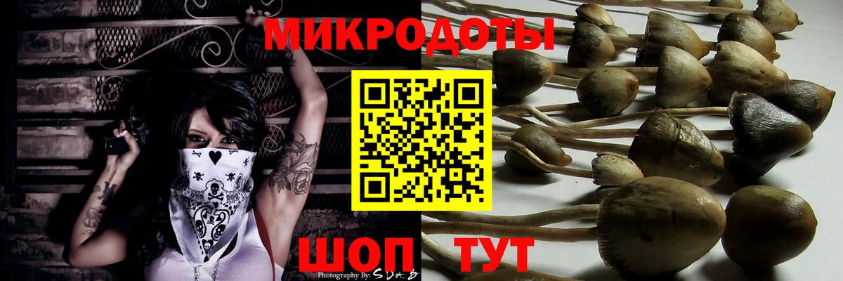 Галлюциногенные грибы Psilocybe Лосино-Петровский